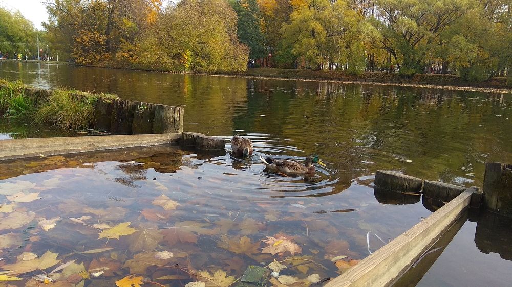 Photograph by Vadim Arutyunov