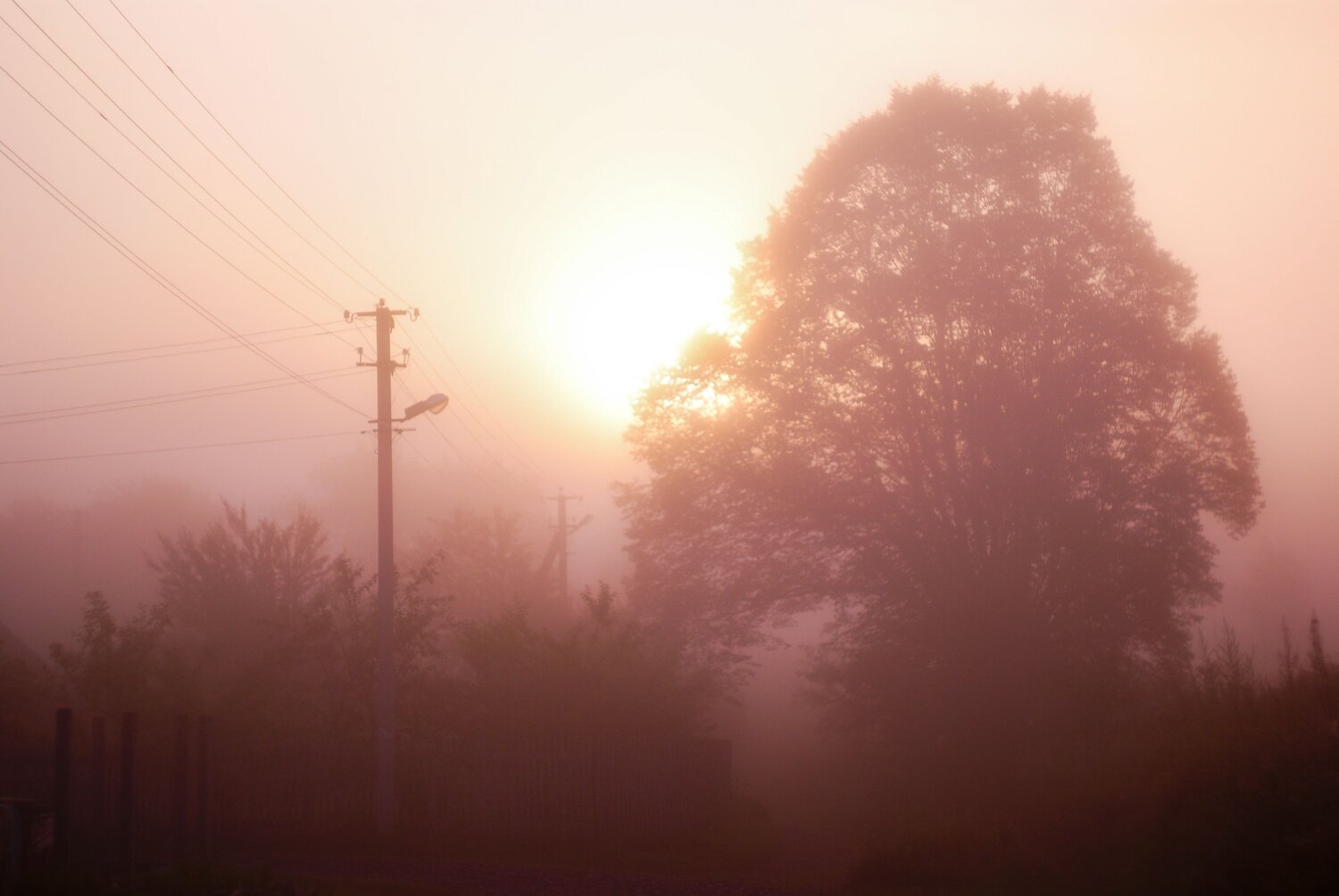 Photo #6734865