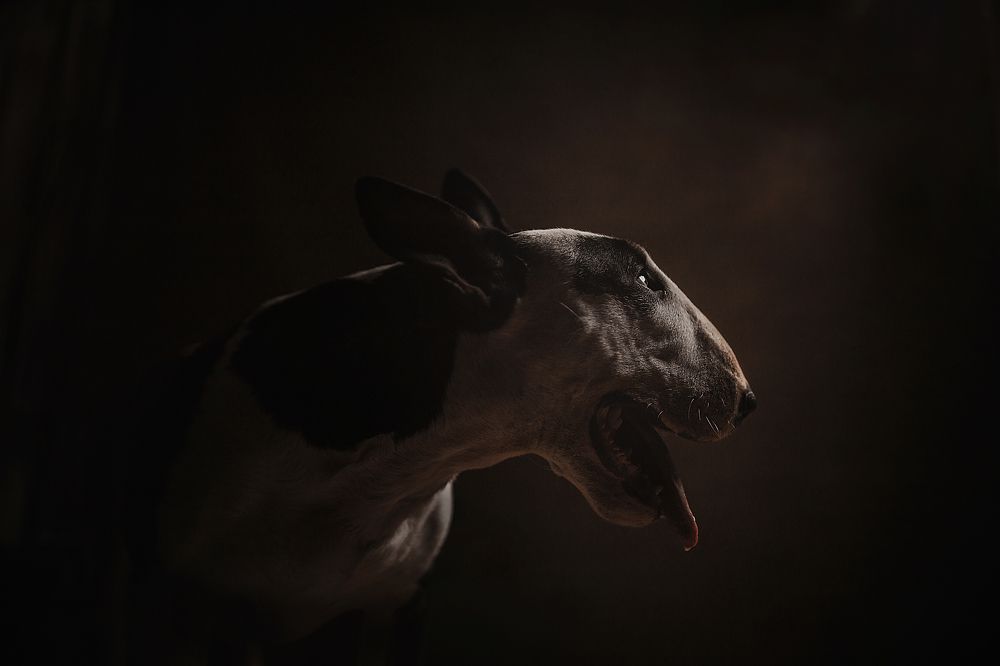 Photograph by Анна Григорьева