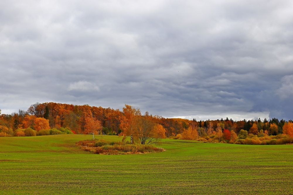 Фотография автора Сергей Барановский