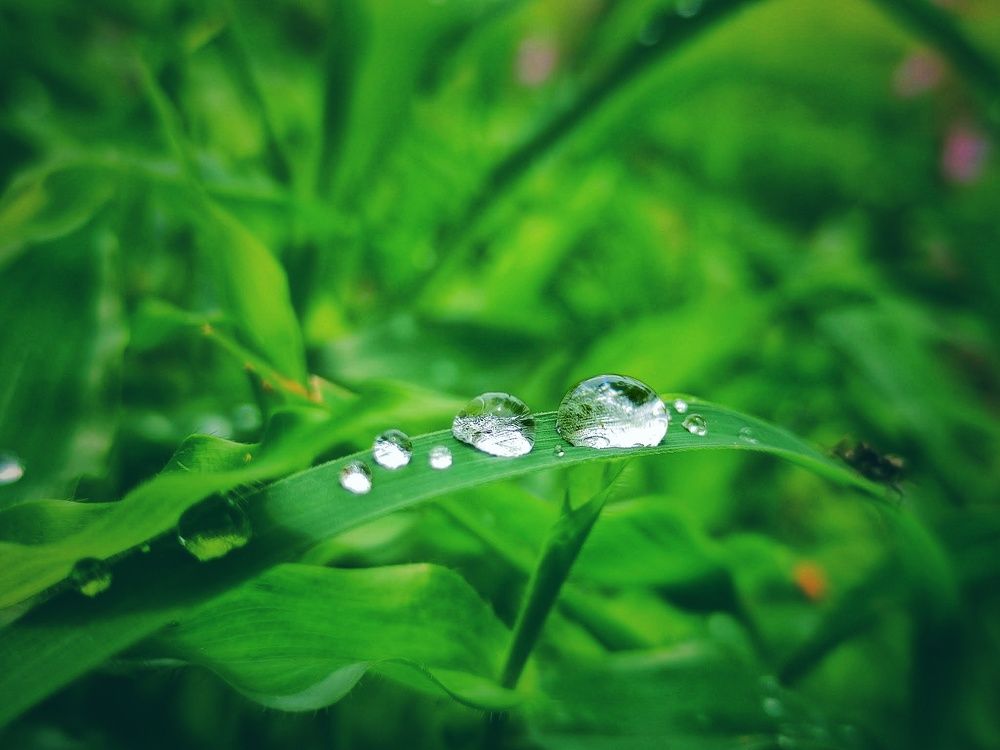 Photograph by Omkar Mane