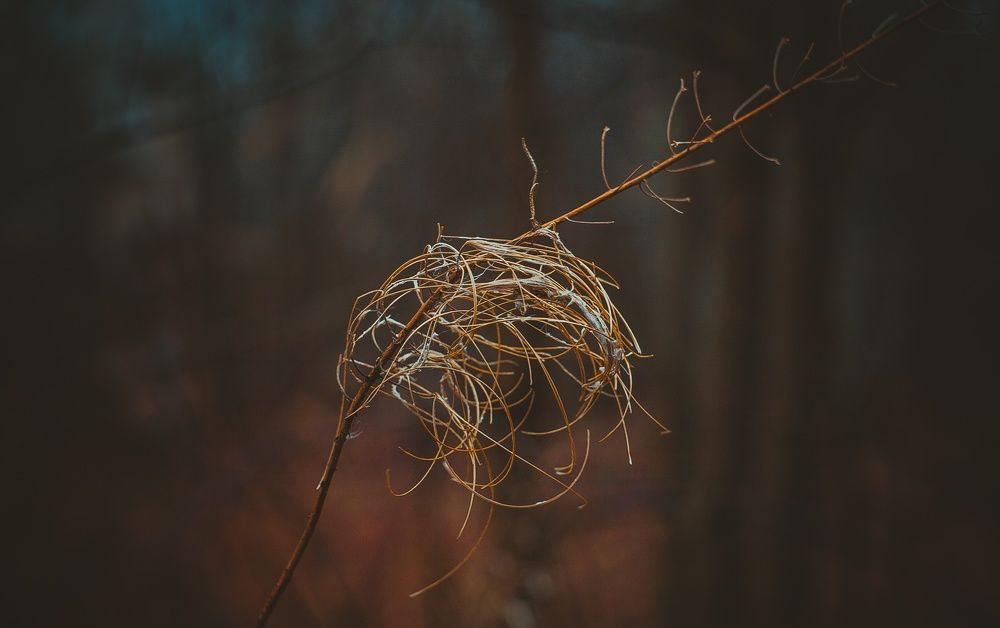 Photograph by Павелс Куренбинс
