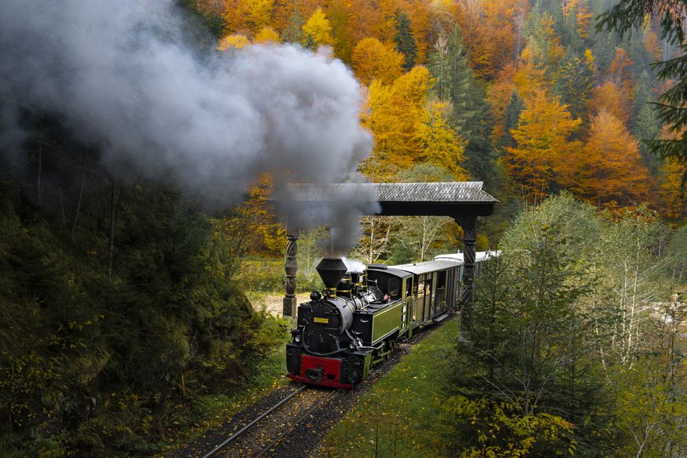 On the hill with mocanita