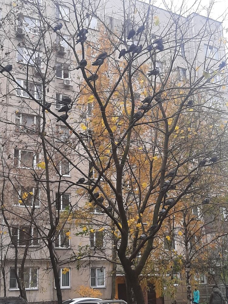 Photograph by Лилия Рыжанкова