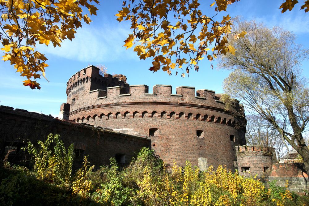 Photograph by Эдуард Молчанов