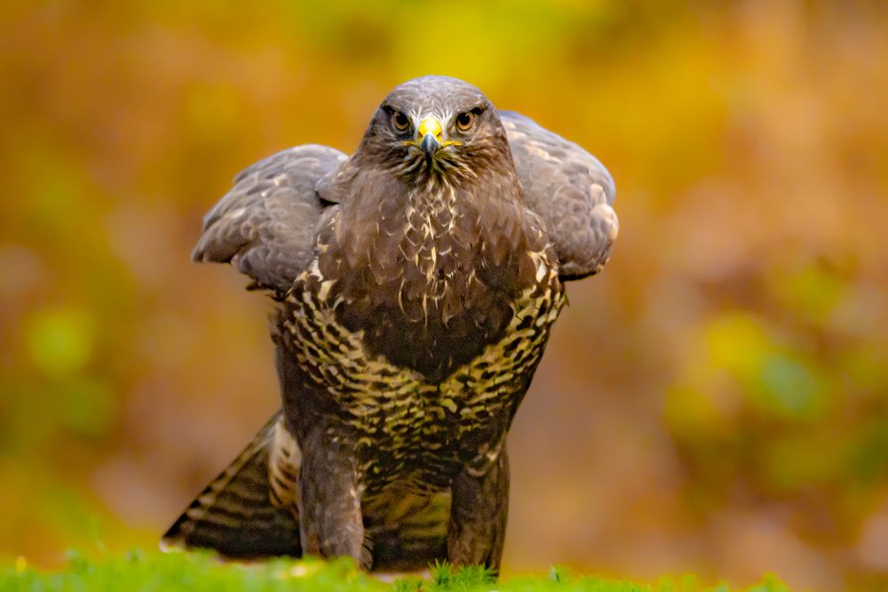 Photograph by Ellen Lichtenheldt