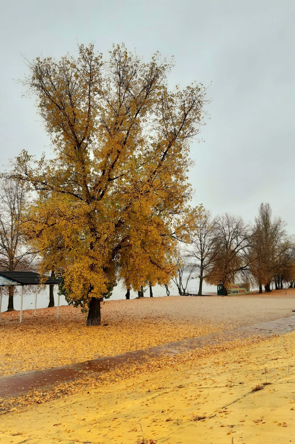 Photo #6735061