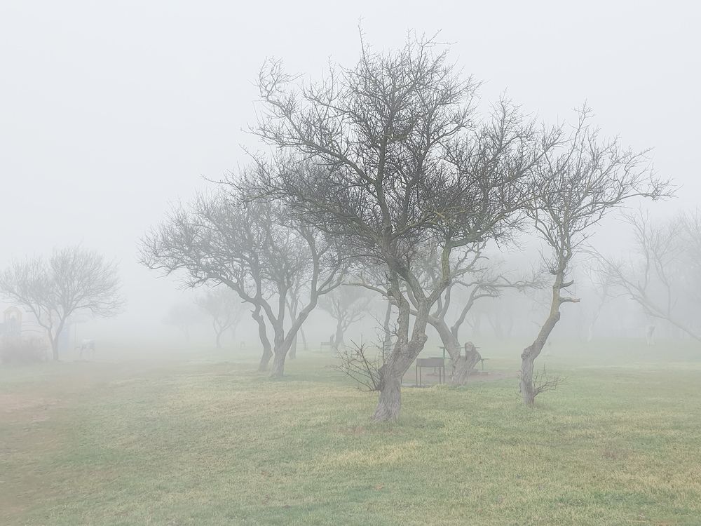 Photograph by Лариса Когтева