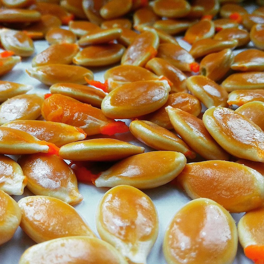 Начало тыквы..).  The Pumpkin's