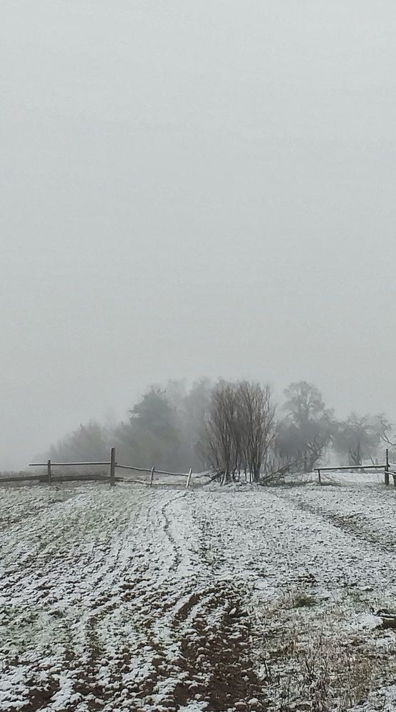 Photograph by Inna Kabanovich