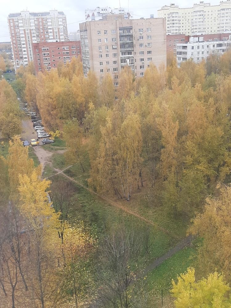 Photograph by Лилия Рыжанкова