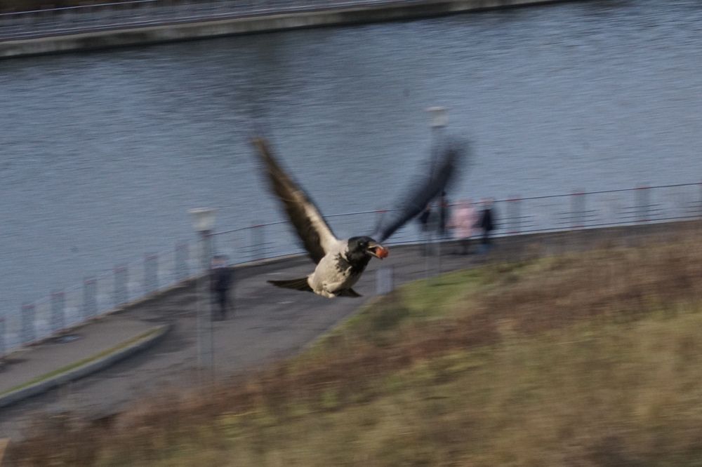 Photograph by Алфия Бугакова