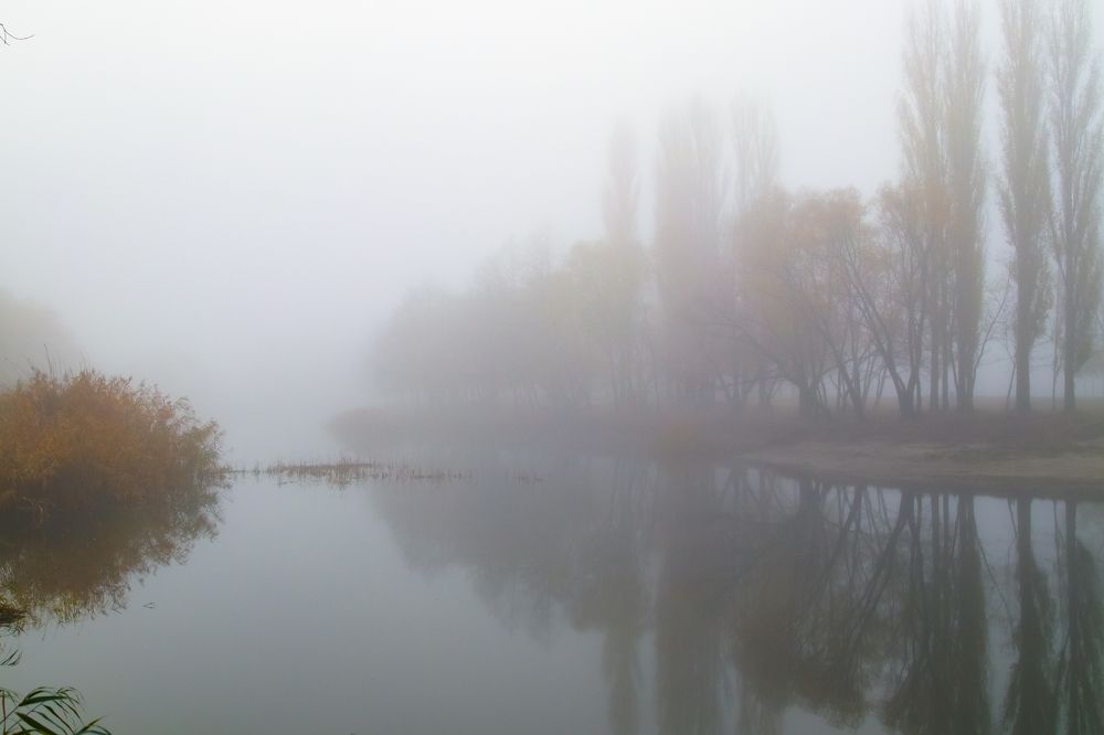 Photograph by Андрей Потапов