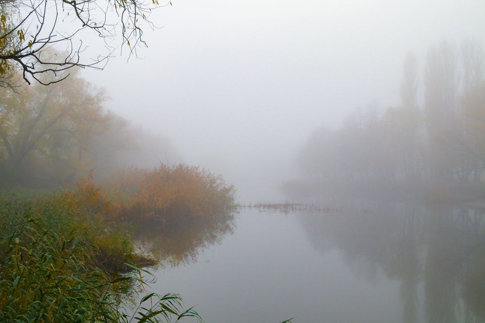 Photograph by Андрей Потапов