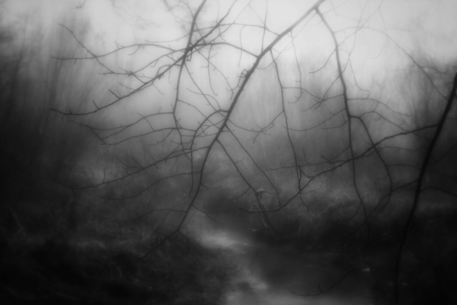 Photo #6735169