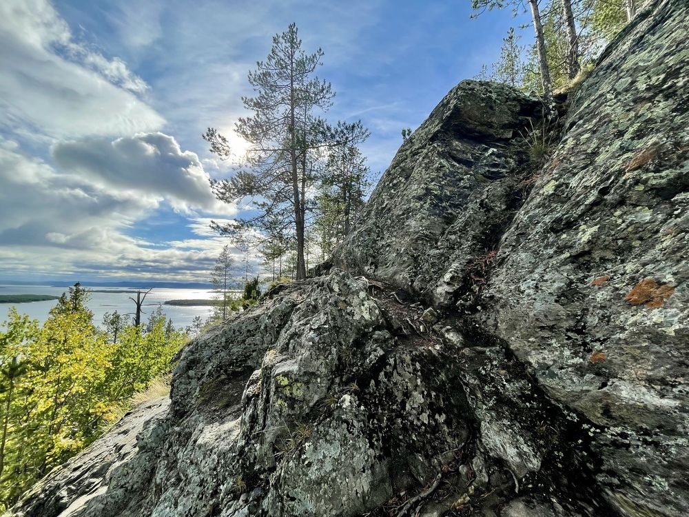 Фотография автора Юлия Шумейко