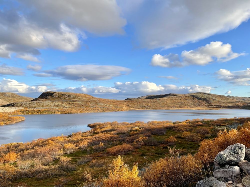 Фотография автора Юлия Шумейко