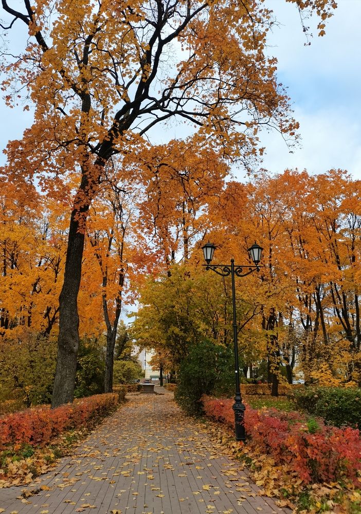 Осенняя палитра