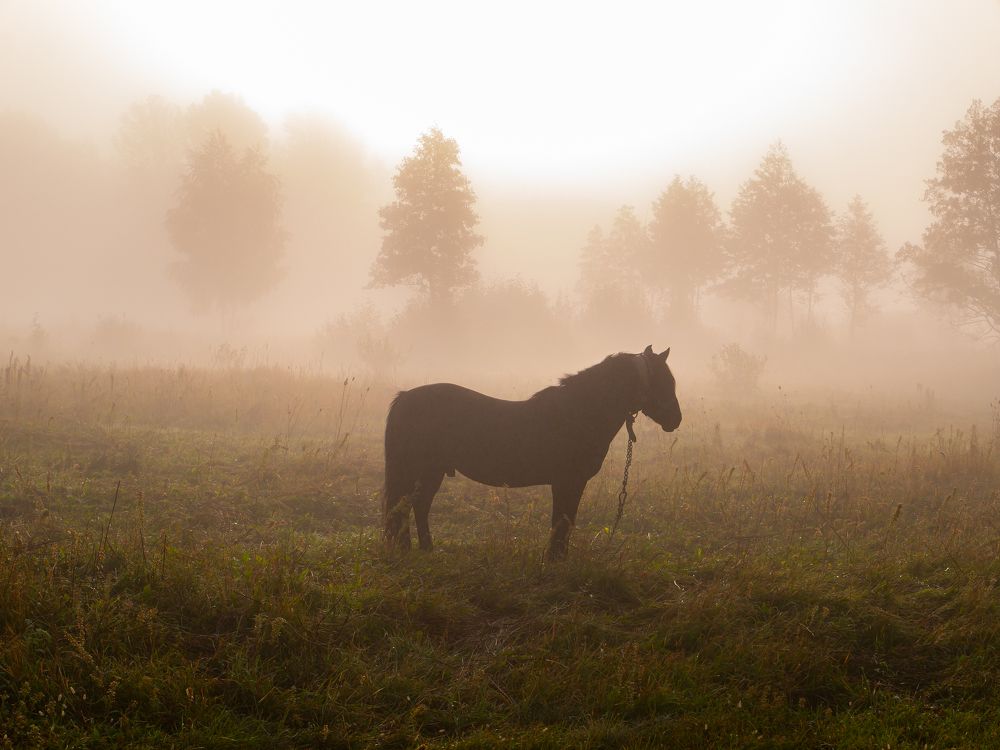 Photo #6735223