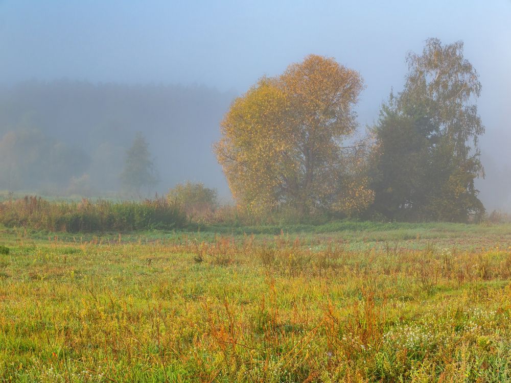 Photograph by Yuriy Malashchenko