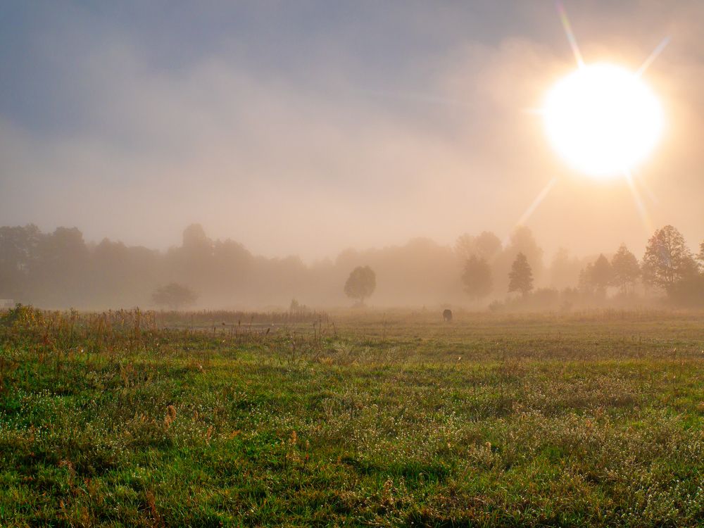 Photograph by Yuriy Malashchenko