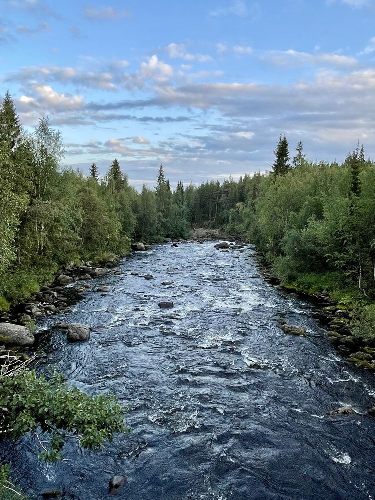 Фотография автора Юлия Шумейко