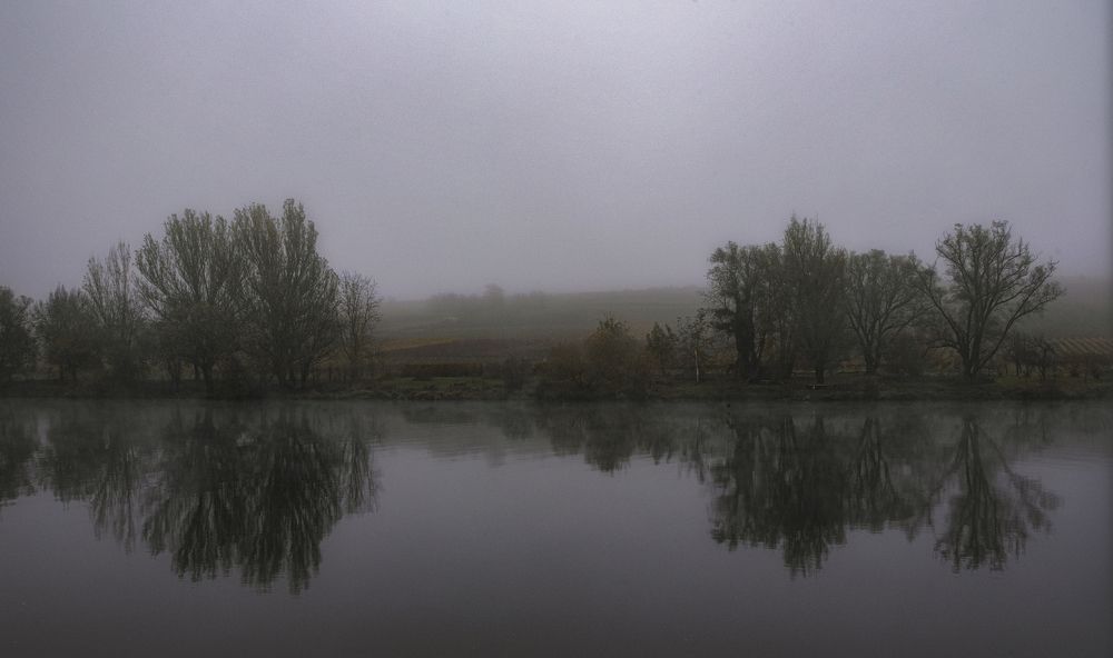 Photograph by Jacky Weckx