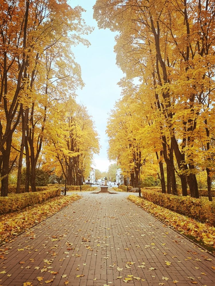 33 оттенка жёлтого