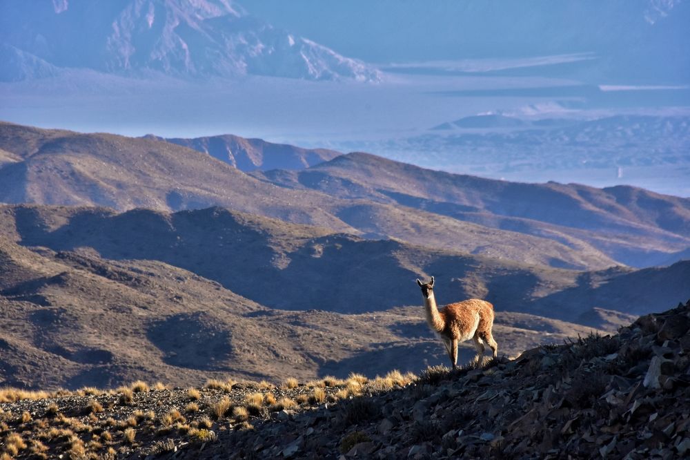 Photograph by Daniel Guerrero