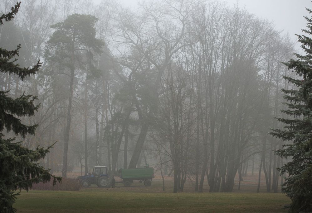 уборка листвы
