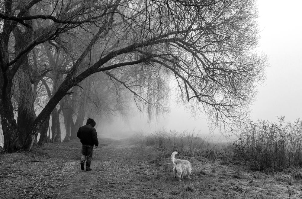 Photograph by Евгений Каримов