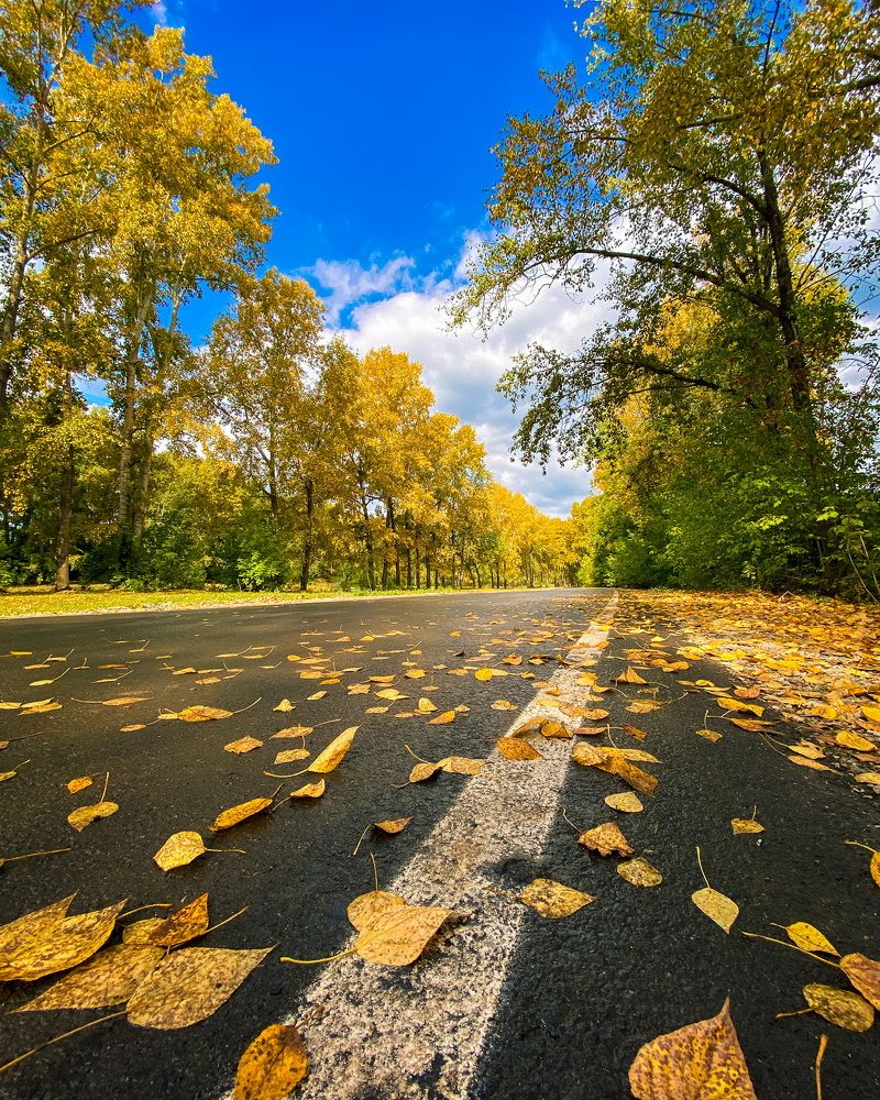 Photograph by Александр Козинец