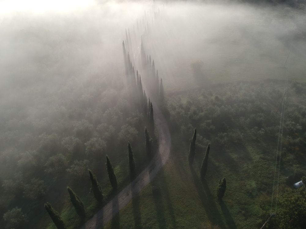 Photograph by Mathijs Meijer