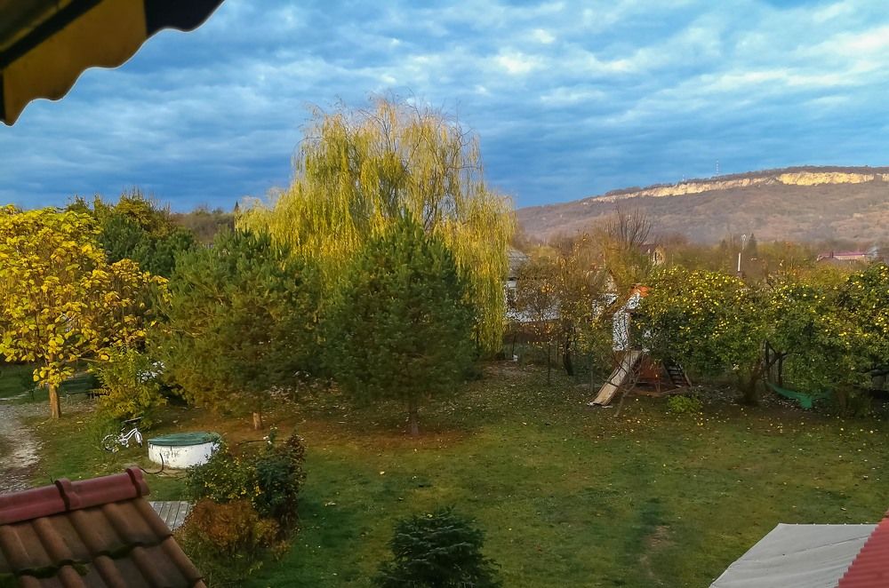 Photograph by Бабитко Юлия