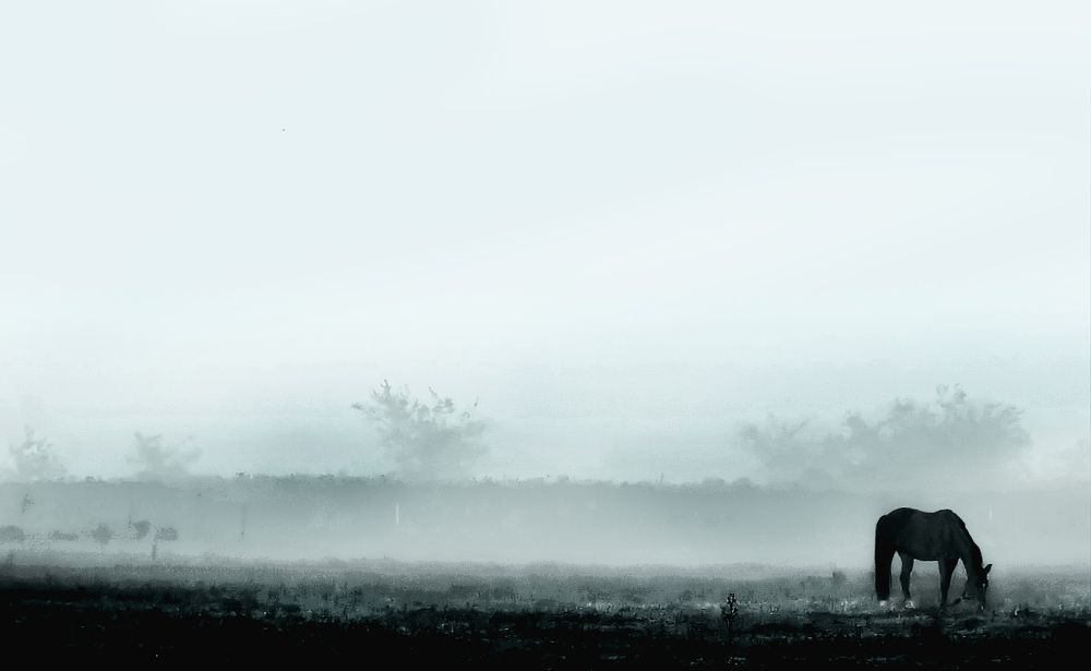 Photograph by Viviana García