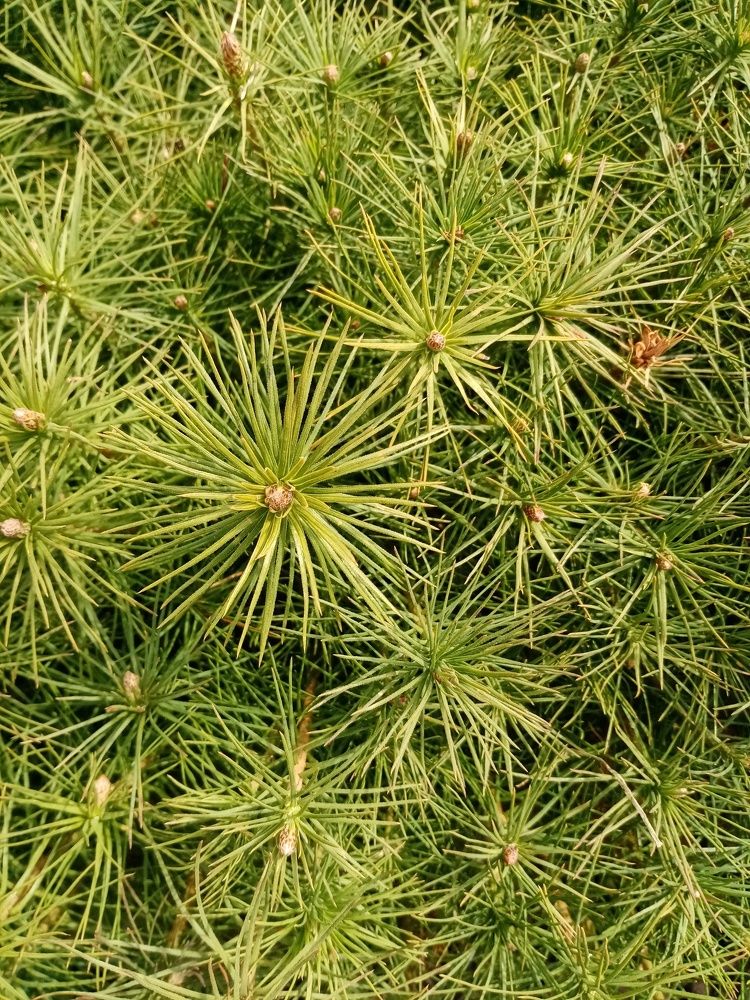 Photograph by Михаил Царикевич