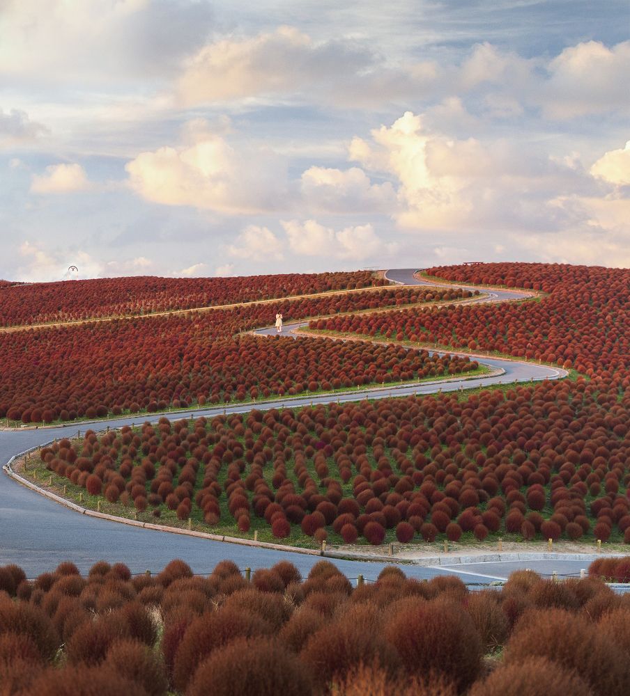 Photograph by Onishi Evgeniya