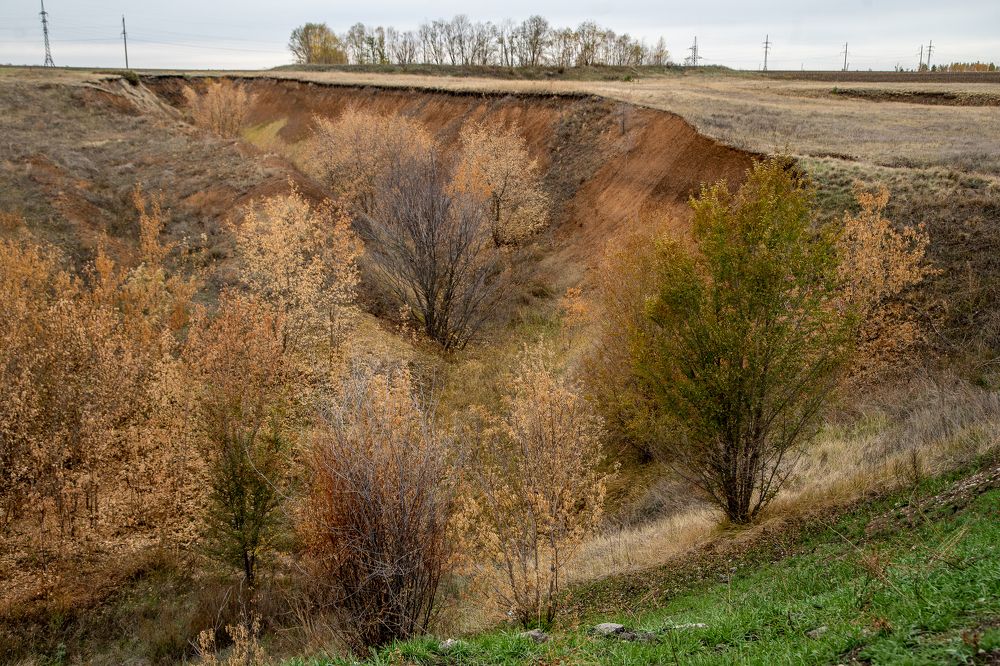 Photograph by Алёна Останкова