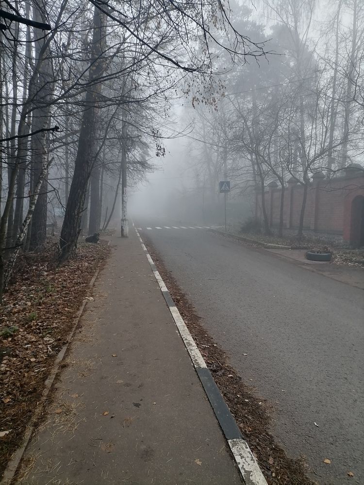 Photo #6735585