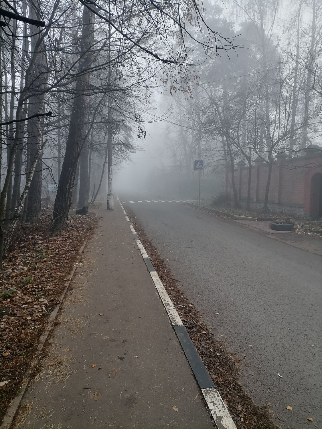 Photo #6735585