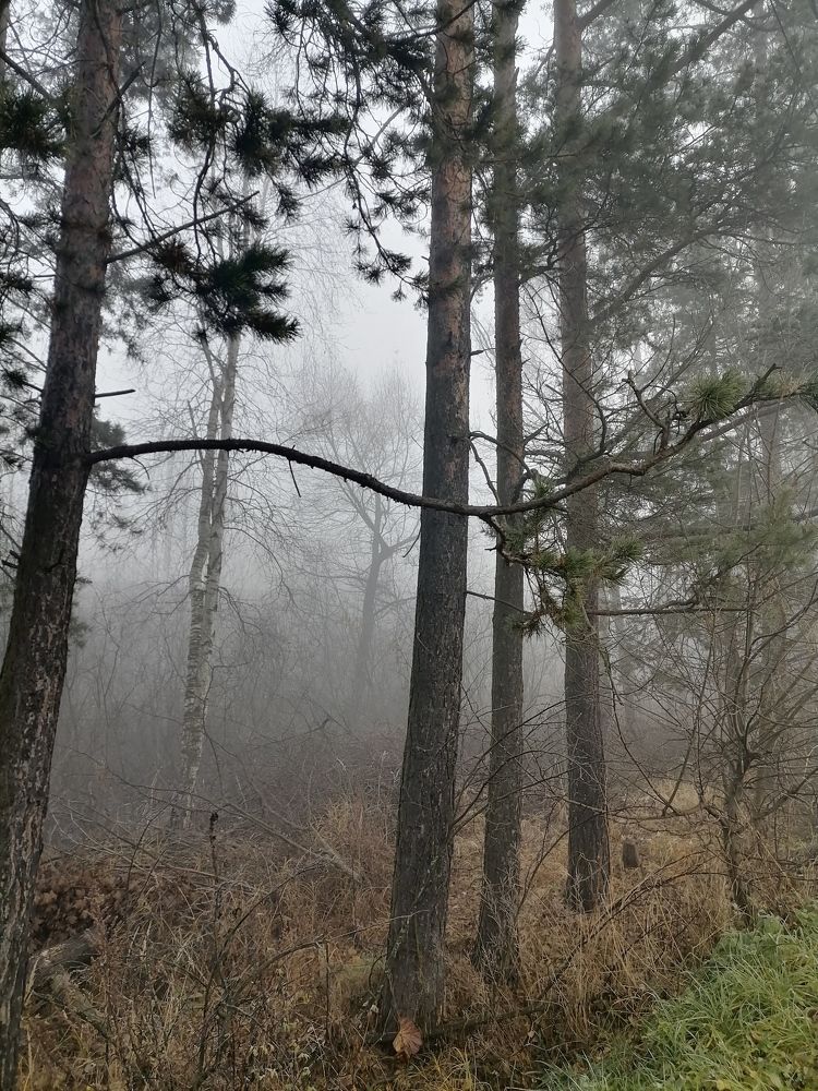 Photo #6735586