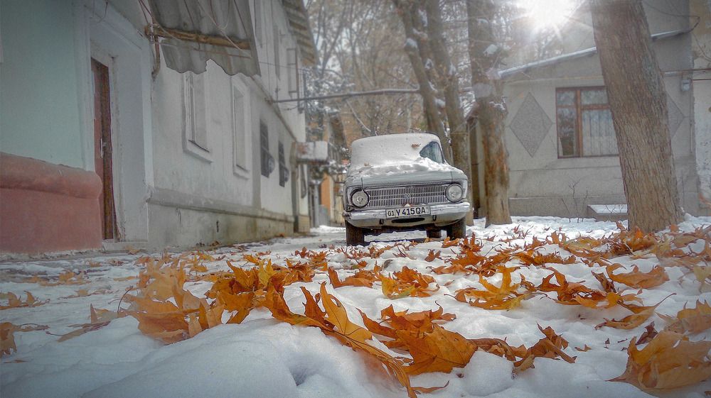 Photograph by said-art