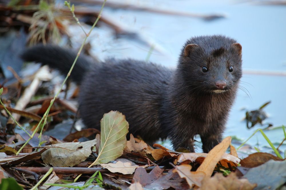 Photograph by Александр Затямин