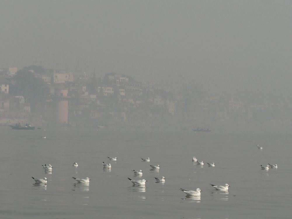 Photograph by Елена Курганская