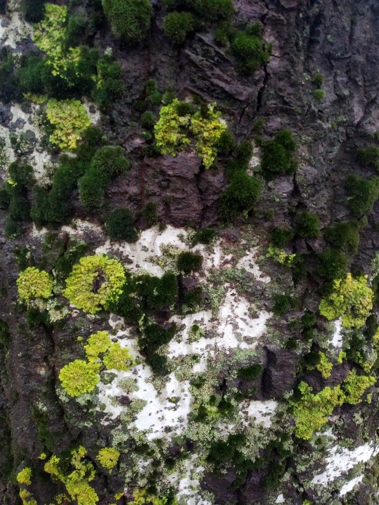 Photograph by Ирина