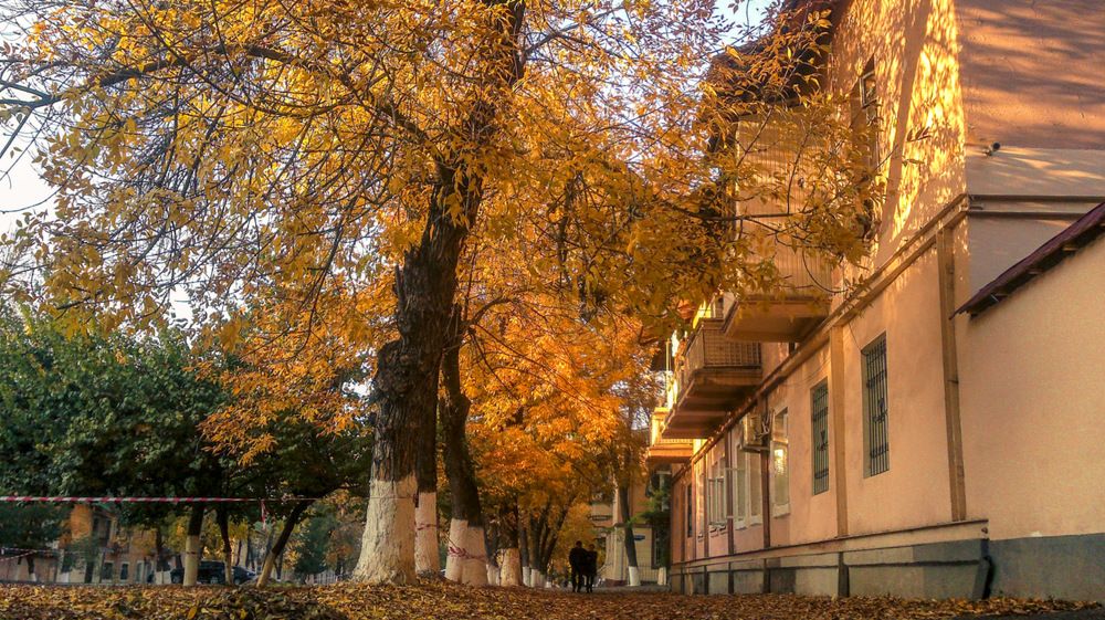 Photograph by said-art