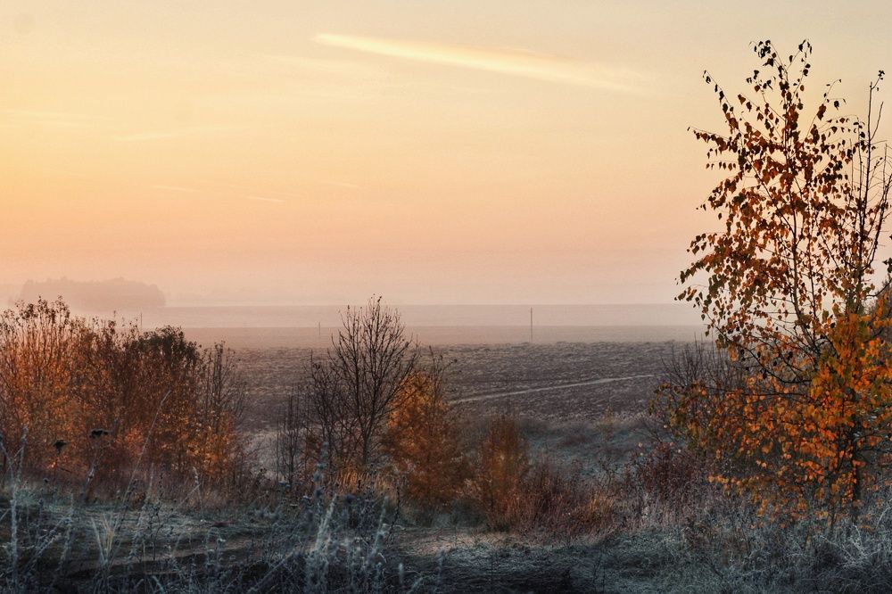 Апельсиновая осень