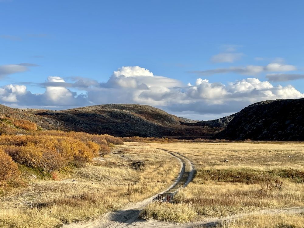 Фотография автора Юлия Шумейко