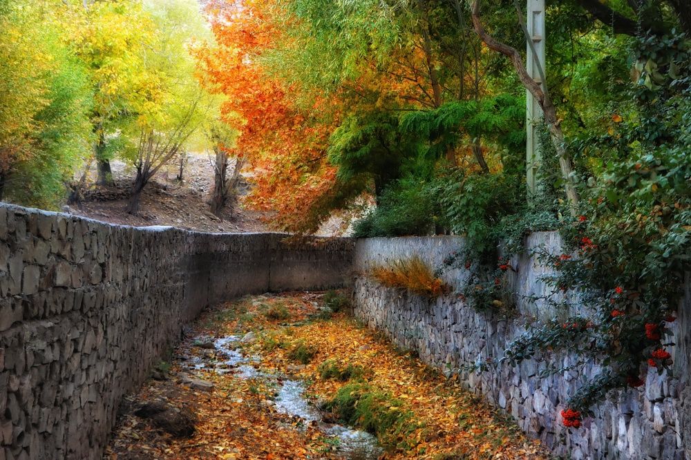 Photograph by Mohammad hasan Raziabadi