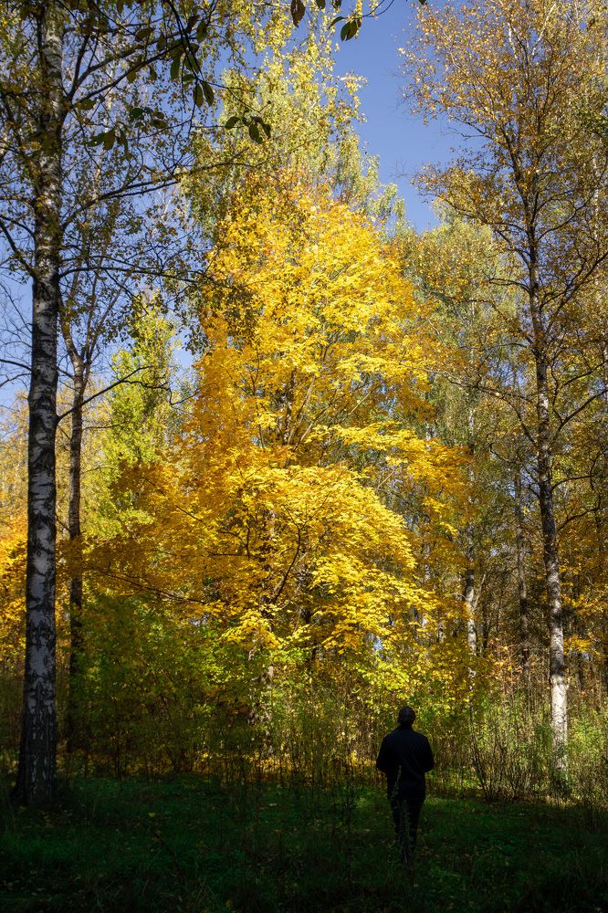 Photograph by Наталья Боровая